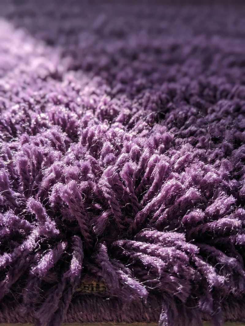 Shaggy Hochflor-Teppich – Akzent-Farbpalette | 5 cm Florhöhe extra weich