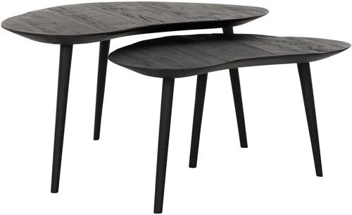 Couchtisch-Set Organus Schwarz