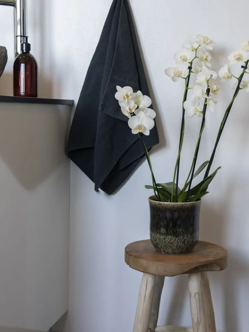 Badia Hocker Teakholz, natur
