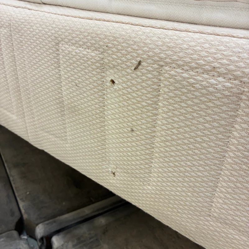 Boxspringbett inklusive Matratze 150x200 Polsterbett Creme Gebraucht