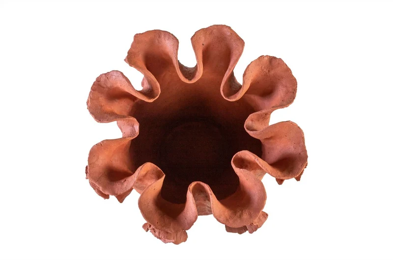 Casa Padrino Luxus Schale Naturfarben 40 x 40 x H. 30 cm - Große organisch geformte Schale Reef aus Terrakotta - Luxus Deko Accessoires