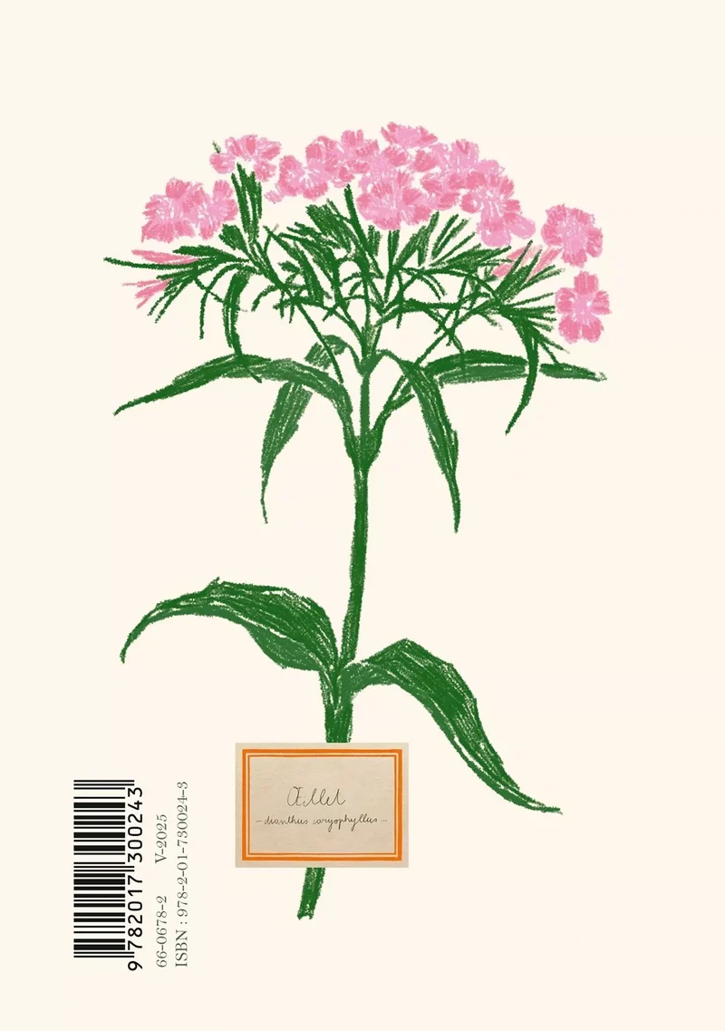 Nouveauté ! CARNET Oiseau A5 - Zoé de Las Cases