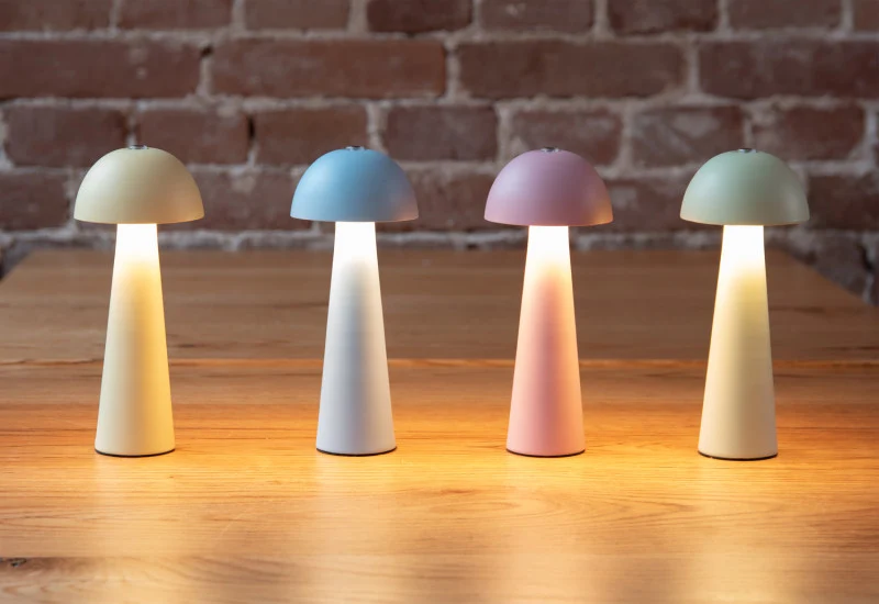 Lampe de table mini led dome -rose
