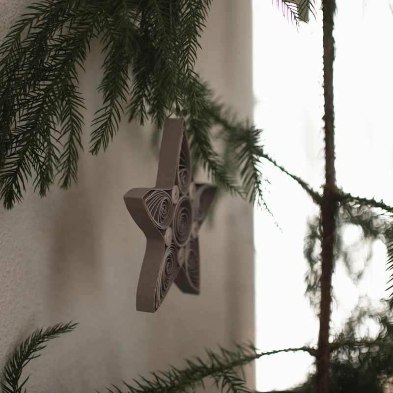 Baumschmuck Star ø10,5cm, taupe