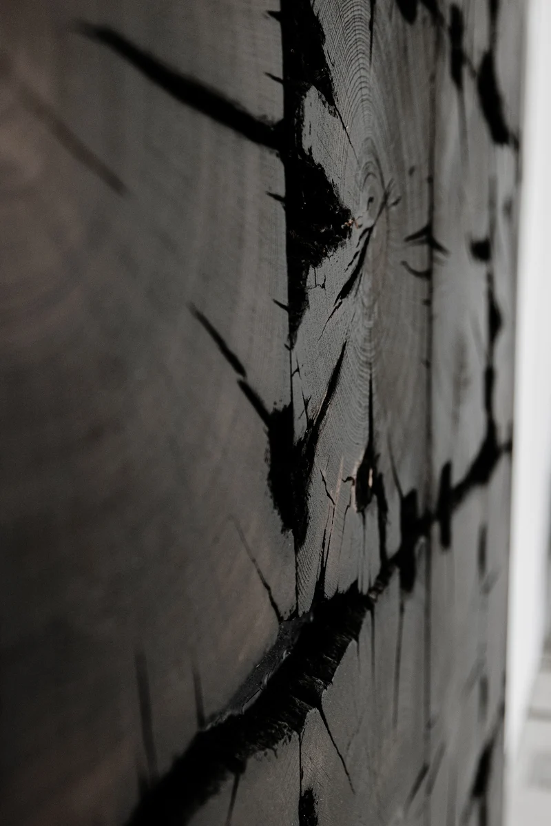 Wandbild CC09, Baumscheibe