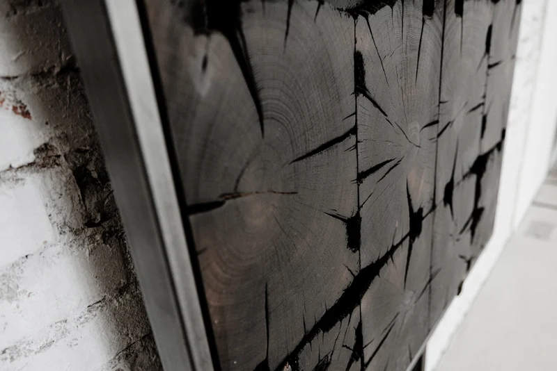 Wandbild CC09, Baumscheibe