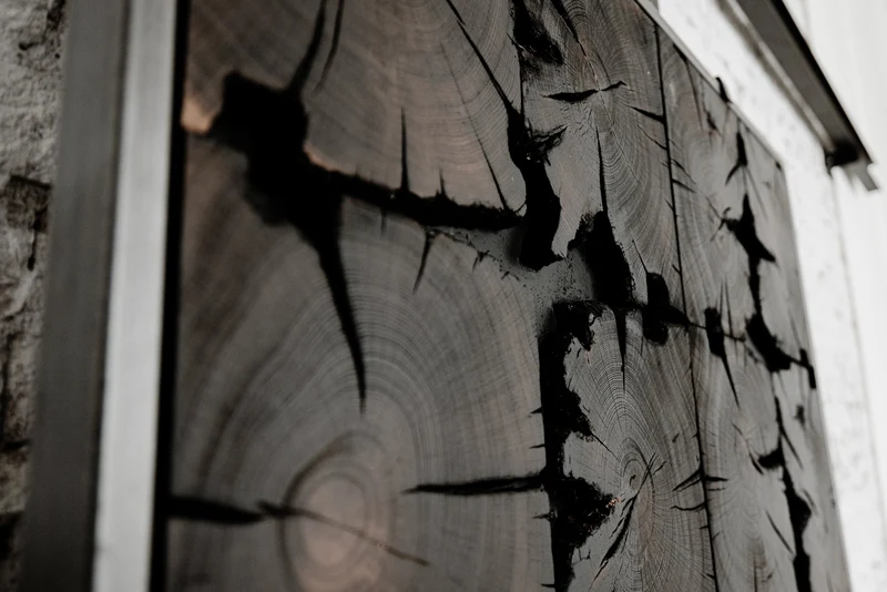 Wandbild CC09, Baumscheibe