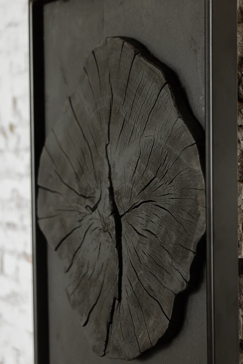 Wandbild CC01, Baumscheibe
