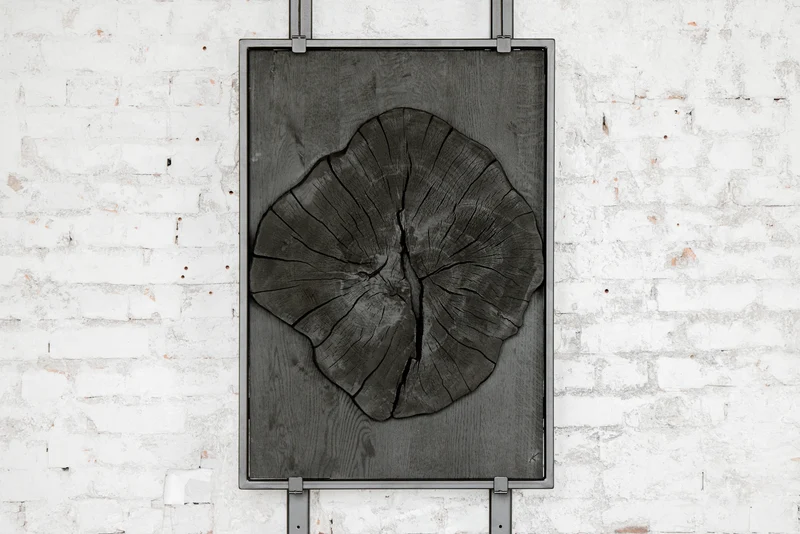 Wandbild CC01, Baumscheibe