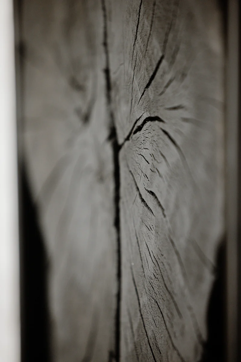Wandbild CC01, Baumscheibe