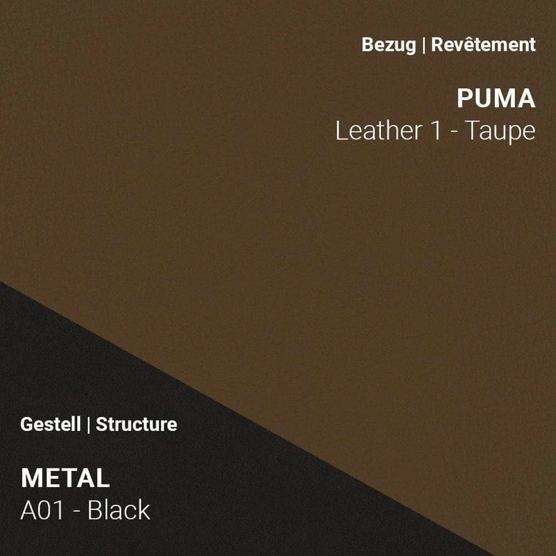 Stuhl COSY C0110 - Leder