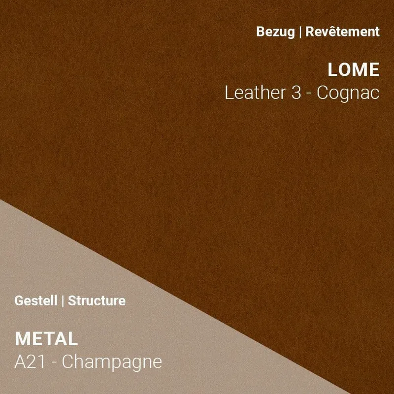 Stuhl COSY C0110 - Leder