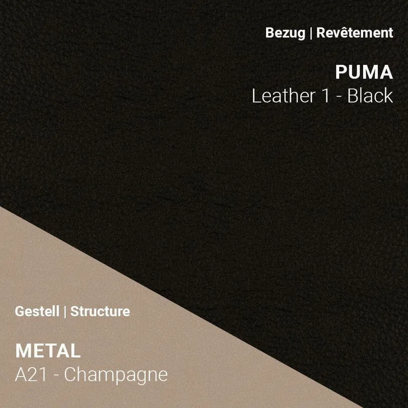 Armlehnstuhl COSY C0212 - Leder