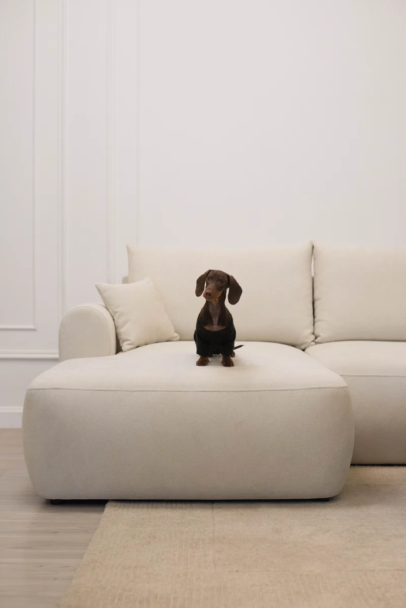 Ecksofa mit Schlaffunktion Ovo mini, L-förmig, linksseitig, mit Stauraum, cremefarben, pflegeleichter Chenille-Stoff