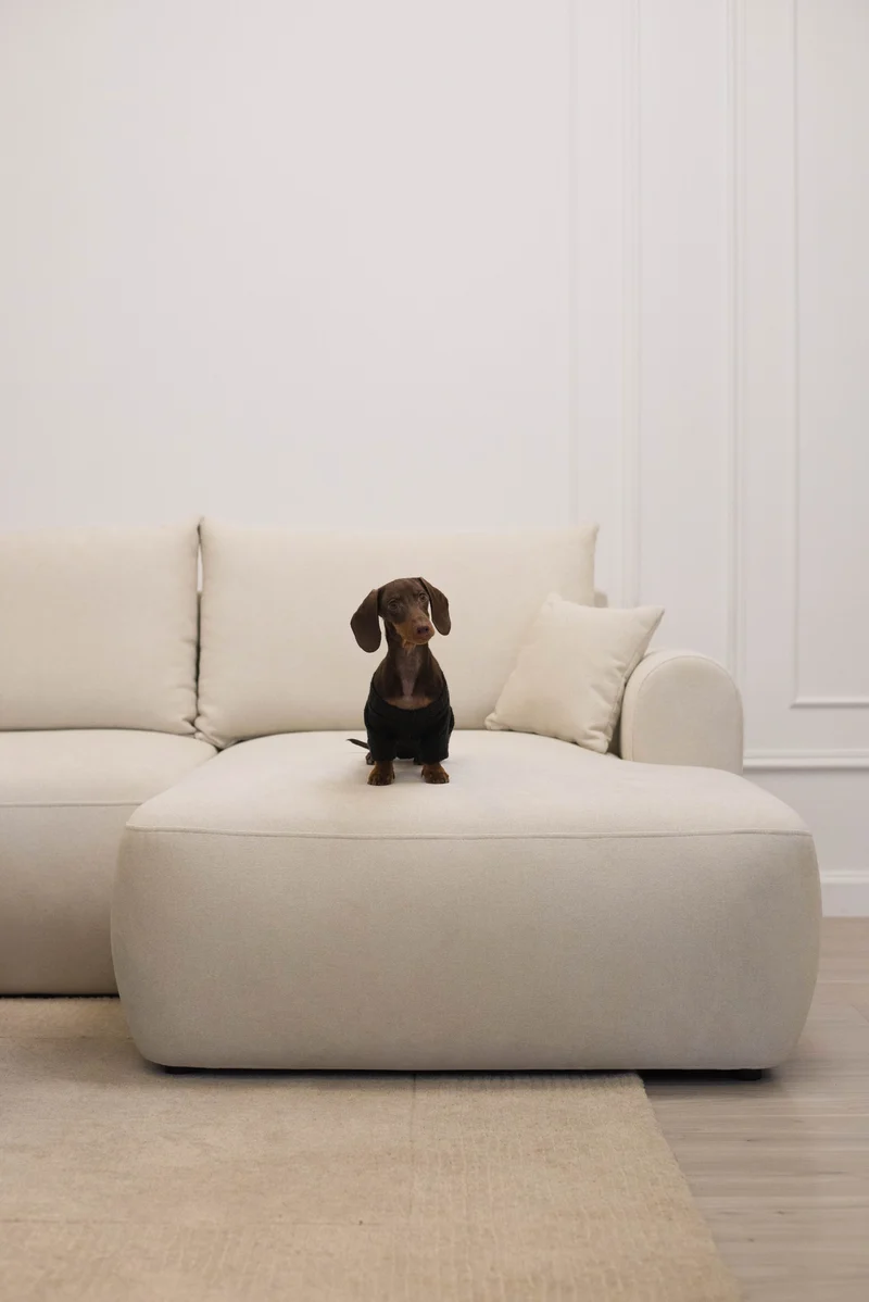 Ecksofa mit Schlaffunktion Ovo mini, L-förmig, rechtsseitig, mit Stauraum, cremefarbener, pflegeleichter Chenille-Stoff