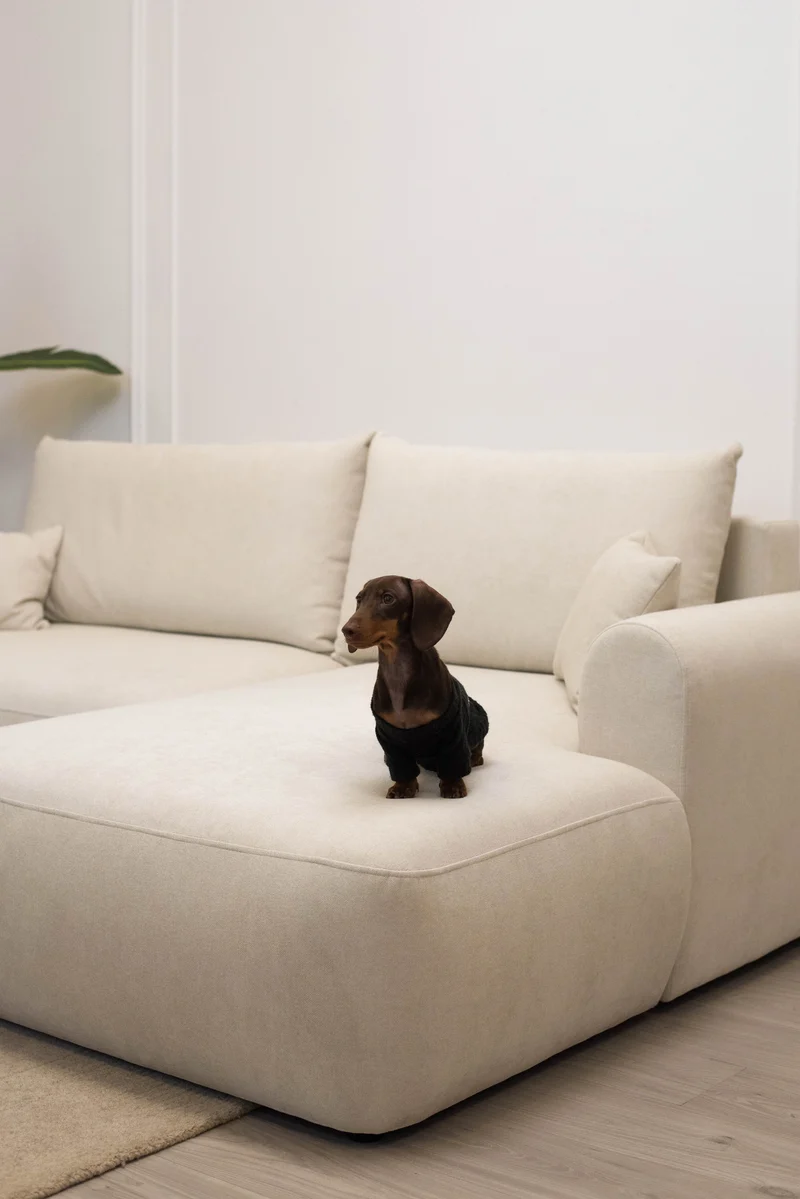 Ecksofa mit Schlaffunktion Ovo mini, L-förmig, rechtsseitig, mit Stauraum, cremefarbener, pflegeleichter Chenille-Stoff
