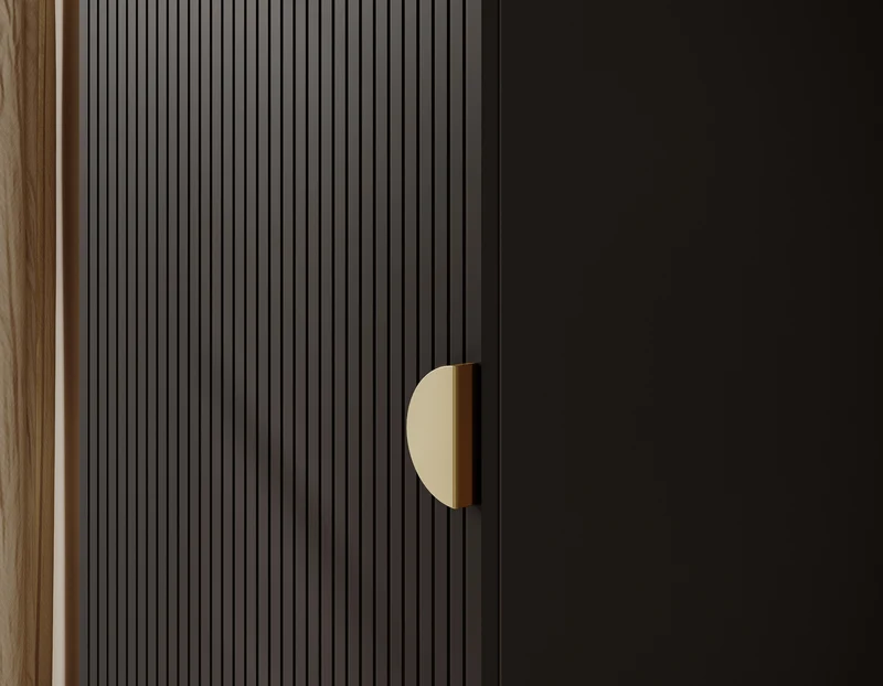 Einzeltüriger Moonir-Schrank mit 50 cm Kleiderstange, schwarz