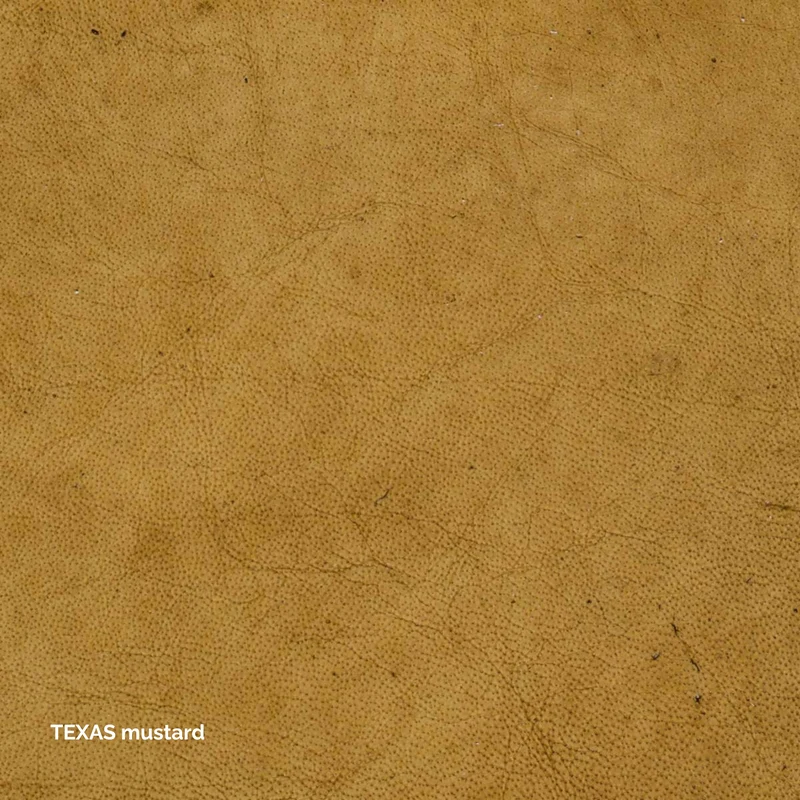 Leder Texas
