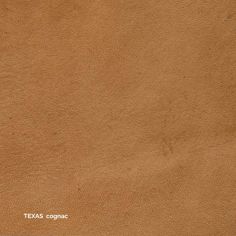 Leder Texas