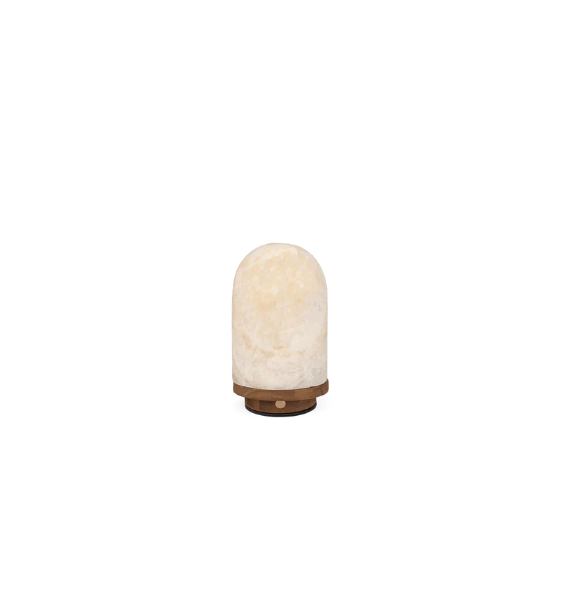 Onyx Bullet Light LED