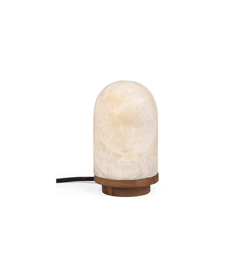 Onyx Bullet Light