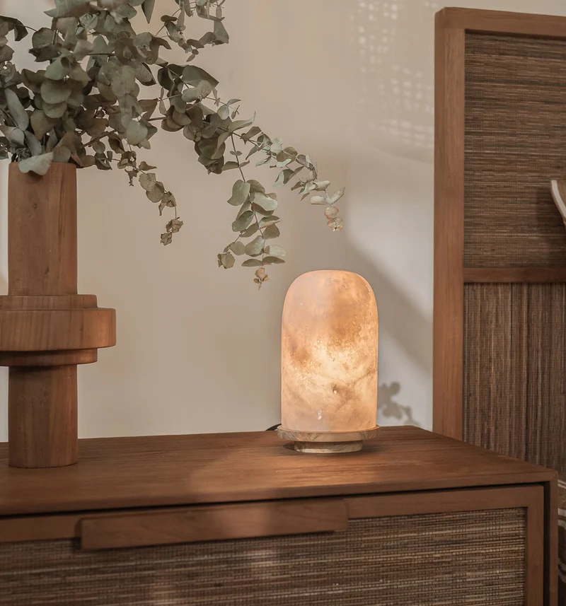 Onyx Bullet Light