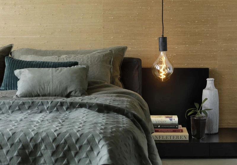 Calex LED Organic EVO E27 Gold