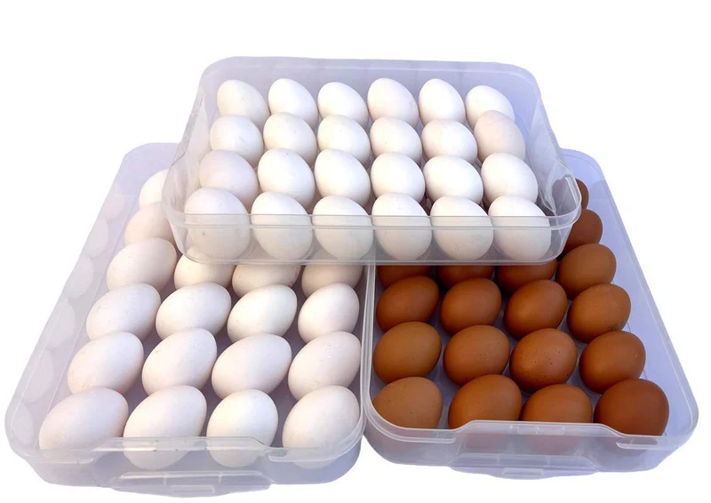 Set of 3 Stackable Egg Storage Tray, 72 Eggs Storage Trays With Locking Lids, Transparent Egg Holder, Egg Container Crisper Fridge Organizer Bins, Egg Box for Refrigerator, Hiking, Outdoor, Camping