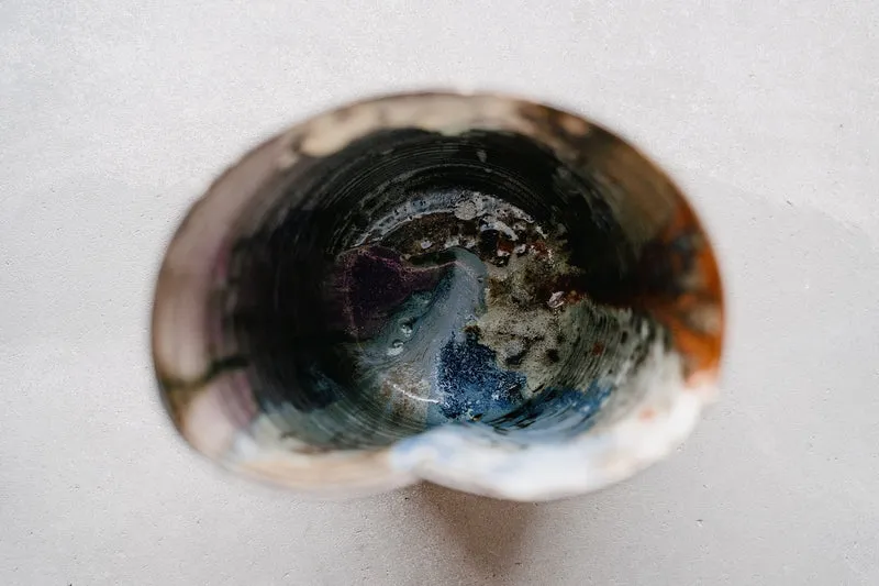 VIOLA BEUSCHER - Vase (L)