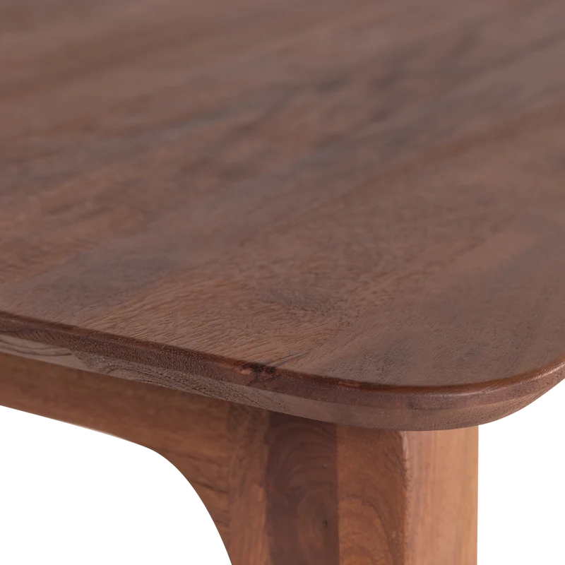 Rubo Esstisch 300x95 cm Mangoholz Braun
