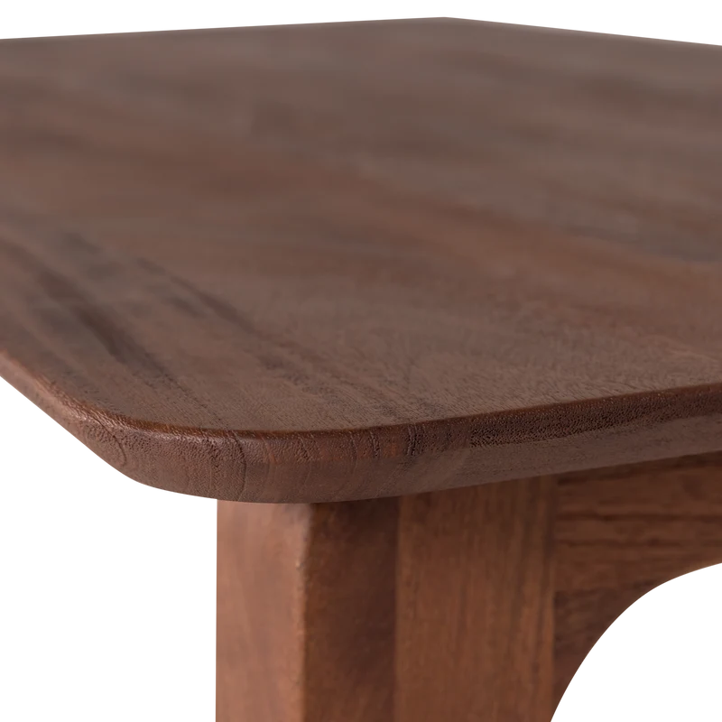 Rubo esstisch 220x95 cm mango holz braun