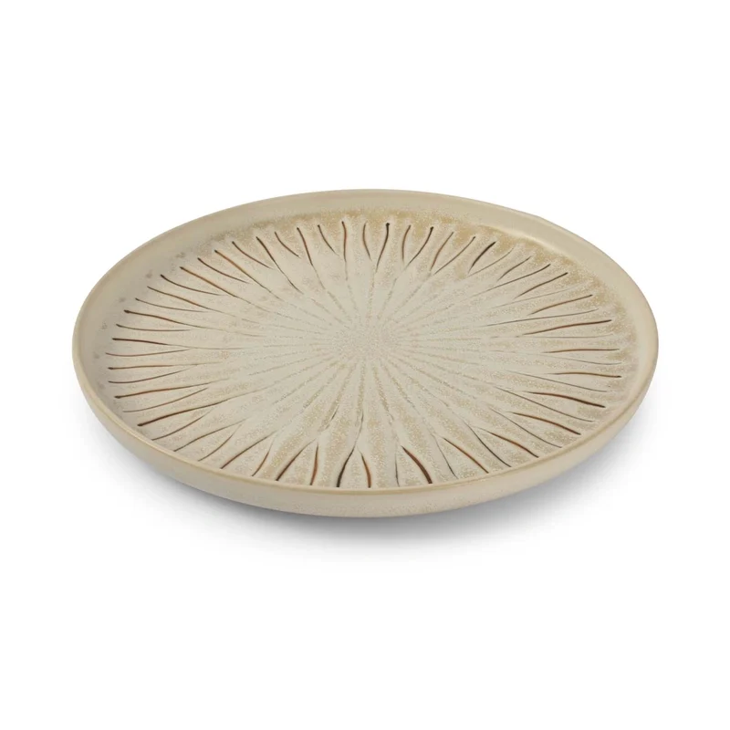 Cam Plate 26cm Orion