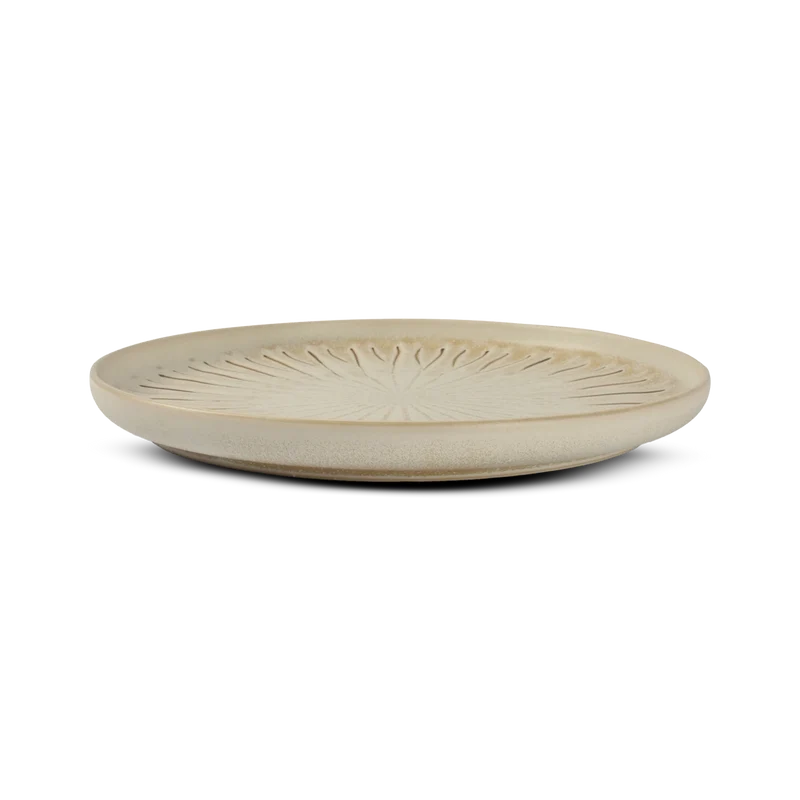 Cam Plate 26cm Orion