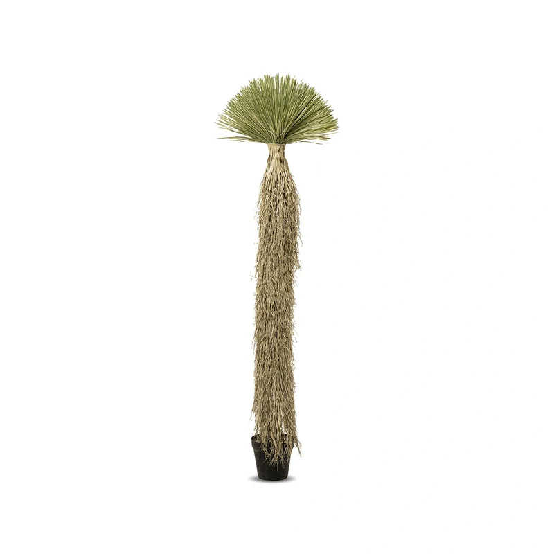 Yucca Rostrata Deco Plant Green