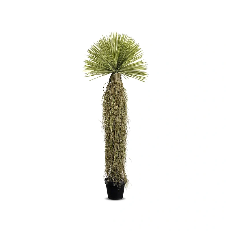 Yucca Deco Plant Green