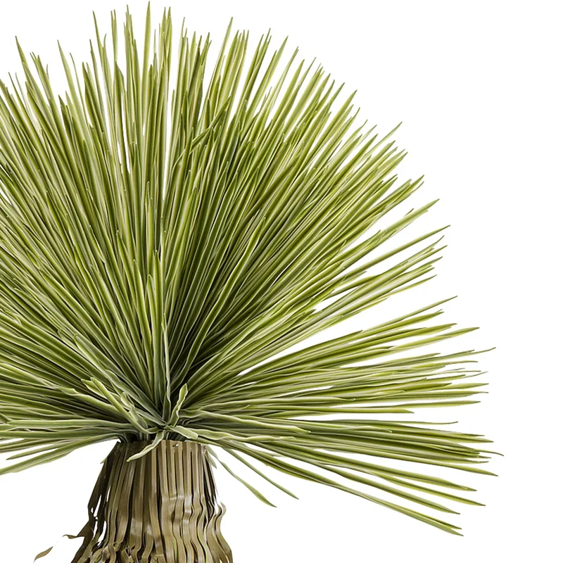 Yucca Deco Plant Green