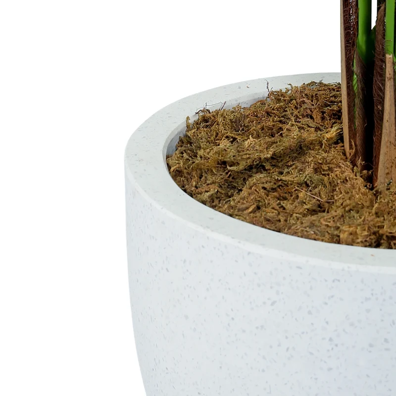 Artificial Areca Palm Tree with Pot