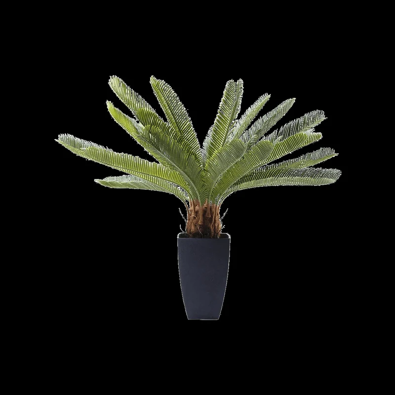 Deco Plant Cycas Tree 78cm Green