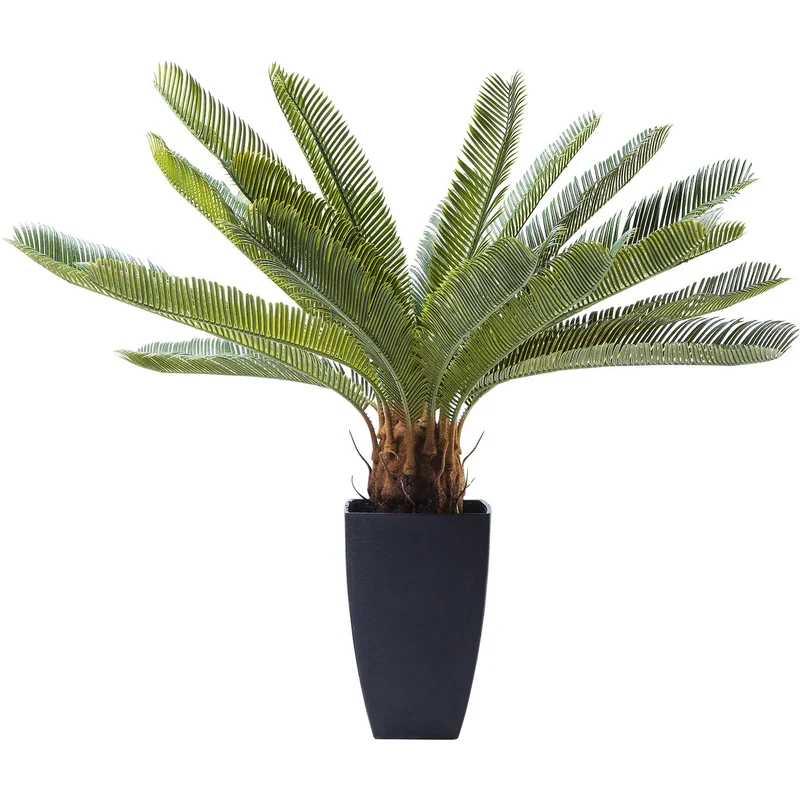 Deco Plant Cycas Tree 78cm Green