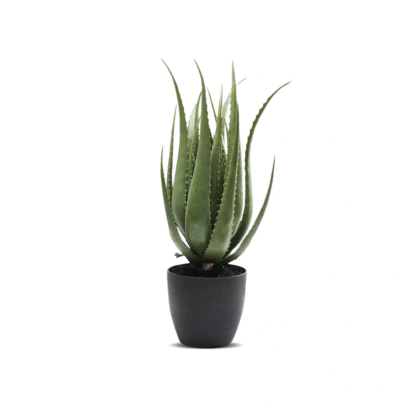 Deco Plant Aloe 69cm Green