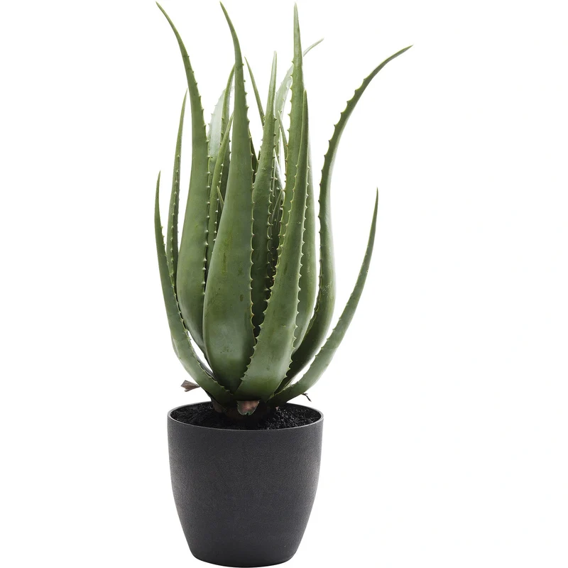 Deco Plant Aloe 69cm Green