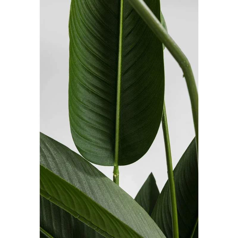 Deco Plant Paradise Flowers 190cm Green