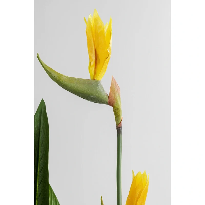 Deco Plant Paradise Flowers 190cm Green