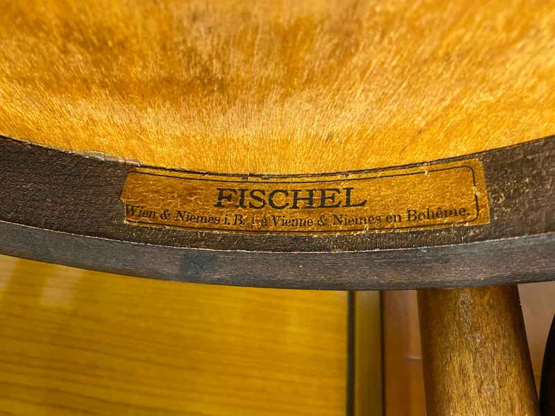 Wunderbarer antiker Bugholzstuhl von Fischel , früher Thonet , für Wien & Niemes Böhmen mit geprägten Ornamenten