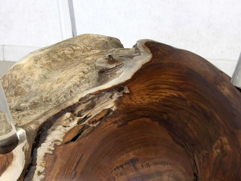 Glas Esstisch rechteckig aus Teak Wurzelholz rustikal auf Maß