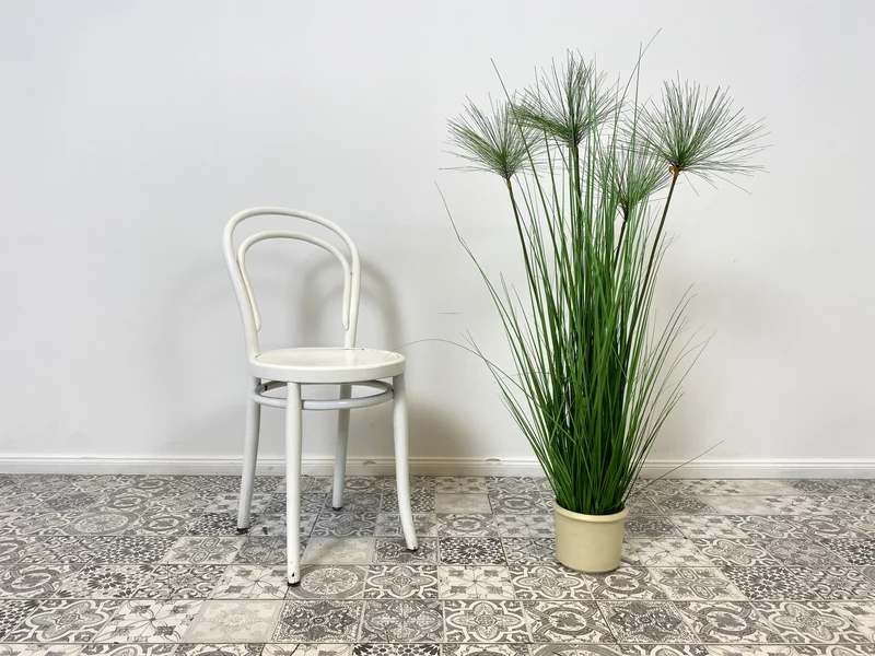 WMK Formschöner jedoch etwas abgerockter antiker Bugholzstuhl , vermutlich berühmter Stuhl Nr. 14 von Thonet