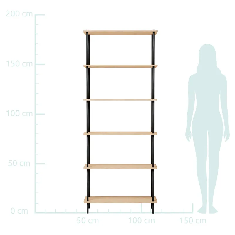 Lisandra - Scaffale