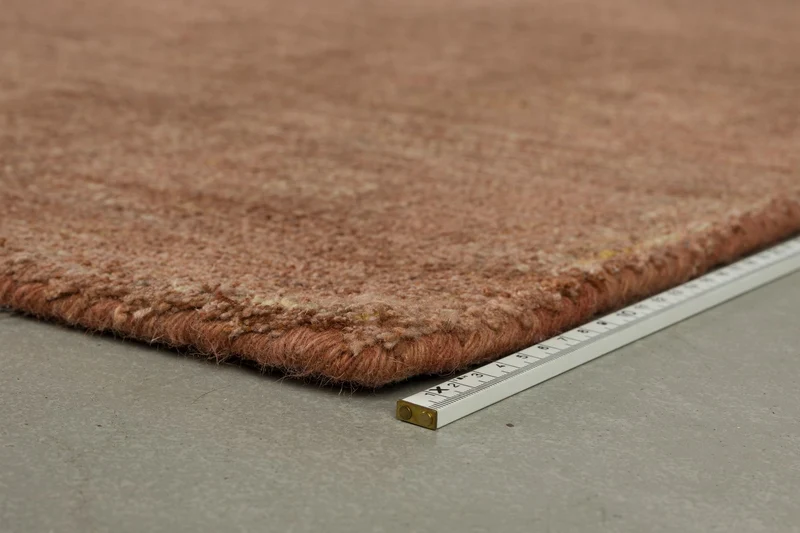 Dutchbone Teppich Maryland 160 × 230 cm – Rost, Polyester