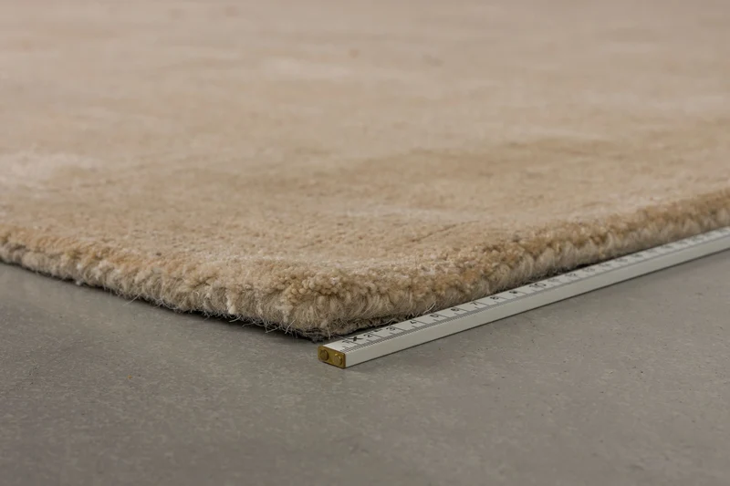 Dutchbone Teppich Maryland 200 × 300 cm – Beige, Polyester