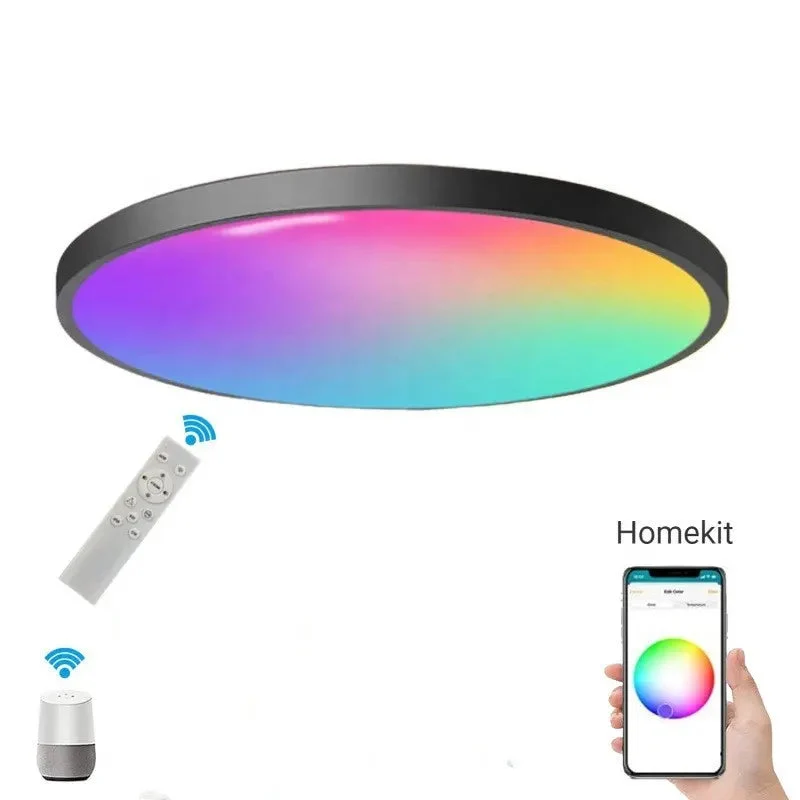 Smart Wifi LED ceiling lamp APP scan code directly connected to remote Alexa voice control time switch 24W ceiling light